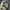 LEE COOPER RAW JEANS INDIGO DENIM SELVEDGE ACCENT photo 2
