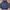 crocodile vintage 90's Navy blue photo 1