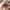 mainan spiderman action figure spiderman photo 1
