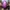 mainan figure teman joker DC COMiCS photo 4