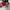 Sendal NIke Kawa Slide toddler photo 4