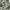 Camo pnts militery photo 3
