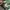 Camo pnts militery photo 5
