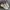 New Balance Gorpcore Indie Sneakers Pria white cream photo 1