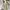 Burberry Brit Striped Polo With 3D Logo White Indigo photo 6