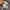 New Balance Gorpcore Indie Sneakers Wanita multicolor white photo 5