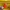 Thr er QR hodie tebel photo 4