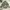 Work SHRT camo canvas photo 7