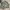 Bomber jacket militry Boxy photo 5