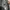 Jas Suit Blazer Givenchy Men Grey Korea L photo 4