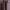 VINTAGE RARE CELINE BAG BURGUNDY photo 4