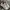 New Balance Gorpcore Sneakers Pria White Gray