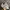 New Balance Gorpcore Sneakers Pria white gray photo 3