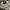 New Balance Gorpcore Sneakers Pria white gray photo 2