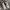 New Balance Gorpcore Sneakers Pria white gray photo 4