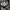 Sugar Cane By Toyo Enterprises Flanell photo 6