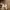 Cargo Ballon Gu pants cream unisex photo 4