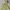 Helly hansen comfort trek rain jacket photo 3