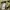 Helly hansen comfort trek rain jacket photo 7