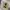 Helly hansen comfort trek rain jacket photo 6