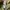 Helly hansen comfort trek rain jacket photo 8