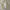 Helly hansen comfort trek rain jacket photo 4