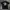 Lost Enterprises Out Of Step Kaos Vintage