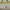 Cardigan Rajut Oversize warna Cream Kuning Beruang photo 3