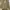 Cardigan Rajut Oversize warna Cream Kuning Beruang photo 1