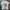 T-Shirt Kimetsu No Yaiba By Max Limited