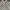 FredPerry poloshirt twin tapped polkadot photo 2