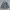 Parka G2kids photo 1