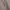 Cardigan basic ralph lauren photo 2