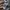 Carhartt Longsleeve Spellout K231 HGY photo 5