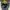 Nike Vintage Sportswear Sneakers Pria yellow black photo 3