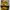 Nike Vintage Sportswear Sneakers Pria Yellow Black