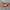 Converse Vintage Sportswear Sneakers Wanita orange white photo 1