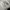 Nike Air Max 95 Essentials Black Smoke Gray  photo 7