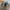 Nike Air Max 95 Essentials Black Smoke Gray  photo 6