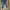 Casual Wide Leg Jeans Wanita Navy