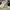 Salomon XT Slate  photo 1