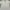 Kaos Outdoor Marmot Baselayer White Gunung Hiking Trekking K photo 1