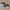 Adidas Streetwear Casual Sneakers Pria white gray photo 1