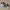 Adidas Streetwear Casual Sneakers Pria White Gray