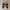 Adidas Streetwear Casual Sneakers Pria white gray photo 4