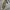 Renoma Luxury Pria multicolor photo 3