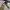 Renoma Luxury Pria multicolor photo 4