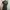 Longdress pressbody tali leher photo 2