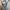 Longdress pressbody photo 2