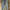 Streetwear Boyfriend Jeans Wanita Multicolor